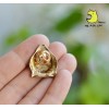Брошь, типса "Дюк". Тайная жизнь домашних животных
